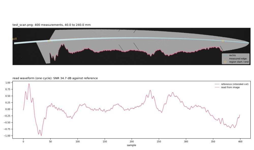 The reading software on a simulated scan: the shaft and measured edge marked over the feather, and below, the waveform read from the image laid over the intended cut