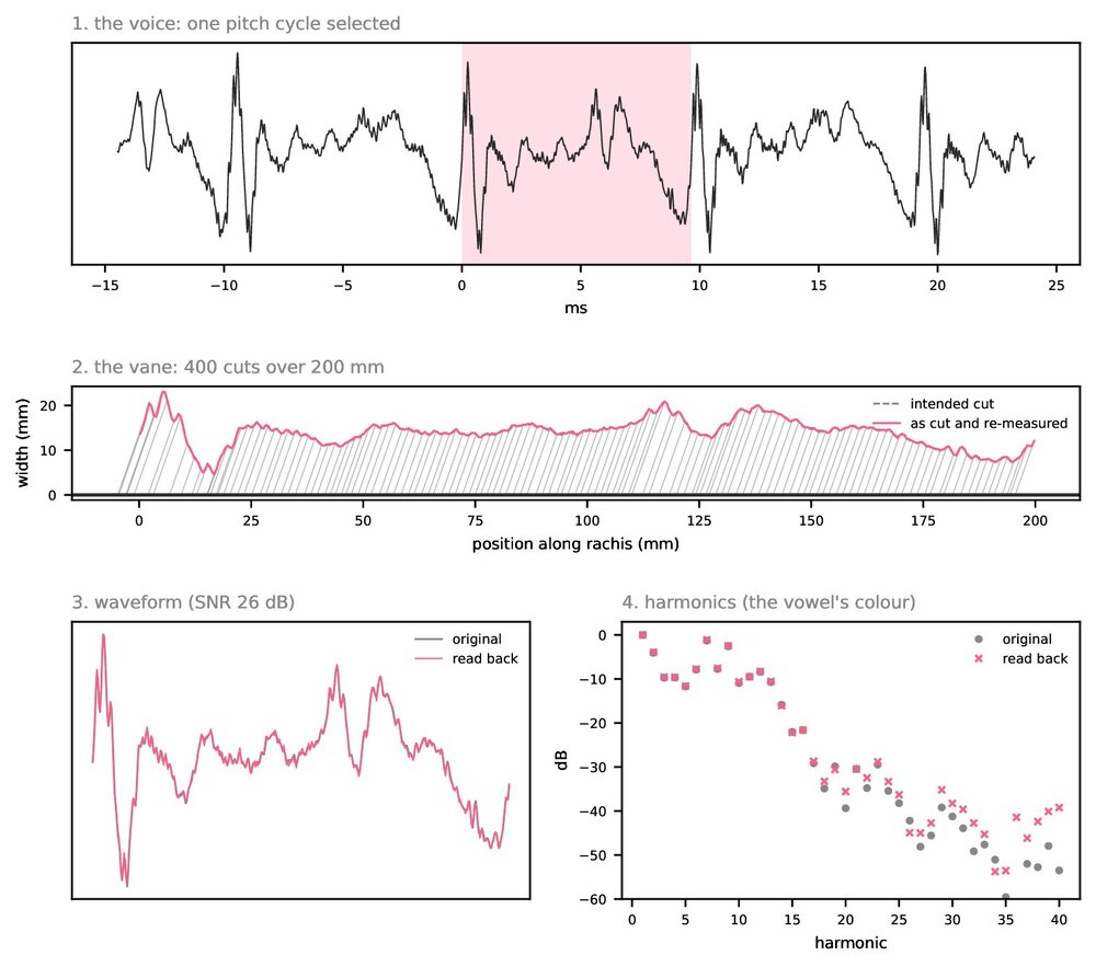 Four charts: one pitch cycle selected from the voice, the 400 cuts along the vane, the waveform read back against the original, and their harmonics